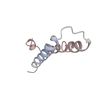 8238_5kcs_12_v2-1
Cryo-EM structure of the Escherichia coli 70S ribosome in complex with antibiotic Evernimycin, mRNA, TetM and P-site tRNA at 3.9A resolution