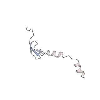 8238_5kcs_14_v1-1
Cryo-EM structure of the Escherichia coli 70S ribosome in complex with antibiotic Evernimycin, mRNA, TetM and P-site tRNA at 3.9A resolution