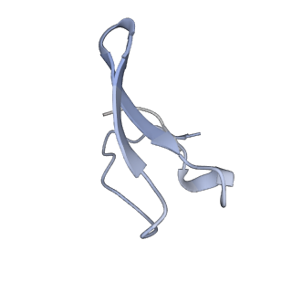 8238_5kcs_19_v1-1
Cryo-EM structure of the Escherichia coli 70S ribosome in complex with antibiotic Evernimycin, mRNA, TetM and P-site tRNA at 3.9A resolution