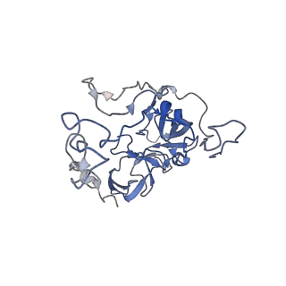 8238_5kcs_1D_v1-1
Cryo-EM structure of the Escherichia coli 70S ribosome in complex with antibiotic Evernimycin, mRNA, TetM and P-site tRNA at 3.9A resolution
