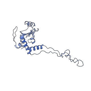 8238_5kcs_1F_v1-1
Cryo-EM structure of the Escherichia coli 70S ribosome in complex with antibiotic Evernimycin, mRNA, TetM and P-site tRNA at 3.9A resolution