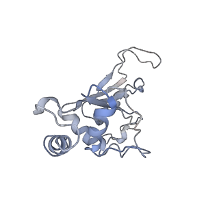 8238_5kcs_1G_v1-1
Cryo-EM structure of the Escherichia coli 70S ribosome in complex with antibiotic Evernimycin, mRNA, TetM and P-site tRNA at 3.9A resolution