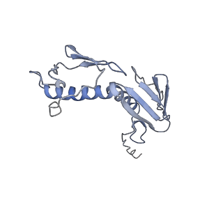 8238_5kcs_1H_v1-1
Cryo-EM structure of the Escherichia coli 70S ribosome in complex with antibiotic Evernimycin, mRNA, TetM and P-site tRNA at 3.9A resolution