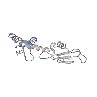 8238_5kcs_1I_v1-1
Cryo-EM structure of the Escherichia coli 70S ribosome in complex with antibiotic Evernimycin, mRNA, TetM and P-site tRNA at 3.9A resolution