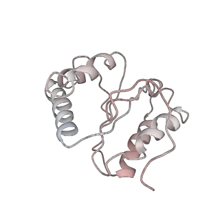 8238_5kcs_1J_v1-1
Cryo-EM structure of the Escherichia coli 70S ribosome in complex with antibiotic Evernimycin, mRNA, TetM and P-site tRNA at 3.9A resolution