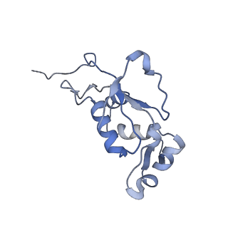 8238_5kcs_1N_v1-1
Cryo-EM structure of the Escherichia coli 70S ribosome in complex with antibiotic Evernimycin, mRNA, TetM and P-site tRNA at 3.9A resolution