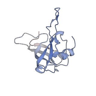 8238_5kcs_1O_v2-1
Cryo-EM structure of the Escherichia coli 70S ribosome in complex with antibiotic Evernimycin, mRNA, TetM and P-site tRNA at 3.9A resolution