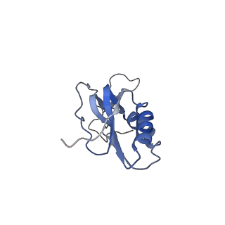 8238_5kcs_1Q_v1-1
Cryo-EM structure of the Escherichia coli 70S ribosome in complex with antibiotic Evernimycin, mRNA, TetM and P-site tRNA at 3.9A resolution