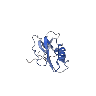 8238_5kcs_1Q_v2-1
Cryo-EM structure of the Escherichia coli 70S ribosome in complex with antibiotic Evernimycin, mRNA, TetM and P-site tRNA at 3.9A resolution