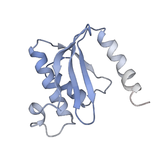 8238_5kcs_1S_v1-1
Cryo-EM structure of the Escherichia coli 70S ribosome in complex with antibiotic Evernimycin, mRNA, TetM and P-site tRNA at 3.9A resolution