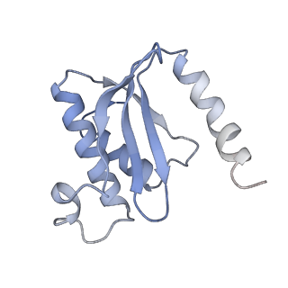 8238_5kcs_1S_v2-1
Cryo-EM structure of the Escherichia coli 70S ribosome in complex with antibiotic Evernimycin, mRNA, TetM and P-site tRNA at 3.9A resolution