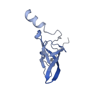 8238_5kcs_1T_v1-1
Cryo-EM structure of the Escherichia coli 70S ribosome in complex with antibiotic Evernimycin, mRNA, TetM and P-site tRNA at 3.9A resolution