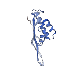 8238_5kcs_1W_v1-1
Cryo-EM structure of the Escherichia coli 70S ribosome in complex with antibiotic Evernimycin, mRNA, TetM and P-site tRNA at 3.9A resolution