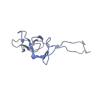 8238_5kcs_1Y_v1-1
Cryo-EM structure of the Escherichia coli 70S ribosome in complex with antibiotic Evernimycin, mRNA, TetM and P-site tRNA at 3.9A resolution