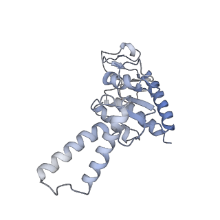 8238_5kcs_1b_v1-1
Cryo-EM structure of the Escherichia coli 70S ribosome in complex with antibiotic Evernimycin, mRNA, TetM and P-site tRNA at 3.9A resolution