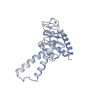 8238_5kcs_1b_v2-1
Cryo-EM structure of the Escherichia coli 70S ribosome in complex with antibiotic Evernimycin, mRNA, TetM and P-site tRNA at 3.9A resolution