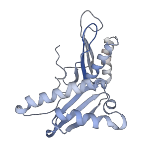 8238_5kcs_1c_v1-1
Cryo-EM structure of the Escherichia coli 70S ribosome in complex with antibiotic Evernimycin, mRNA, TetM and P-site tRNA at 3.9A resolution