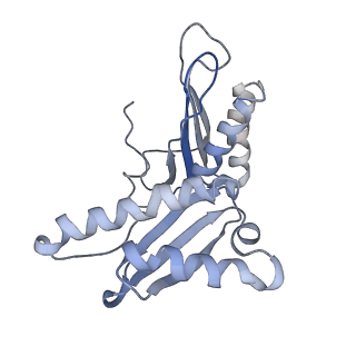 8238_5kcs_1c_v2-1
Cryo-EM structure of the Escherichia coli 70S ribosome in complex with antibiotic Evernimycin, mRNA, TetM and P-site tRNA at 3.9A resolution