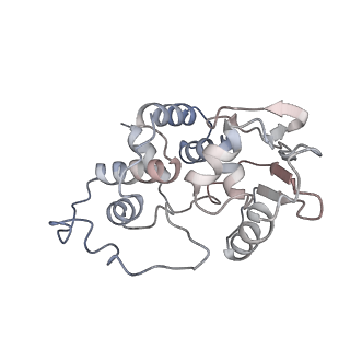 8238_5kcs_1d_v1-1
Cryo-EM structure of the Escherichia coli 70S ribosome in complex with antibiotic Evernimycin, mRNA, TetM and P-site tRNA at 3.9A resolution