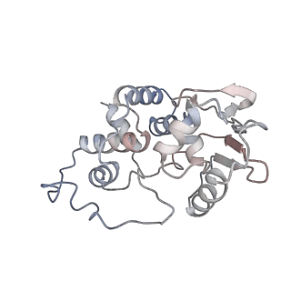 8238_5kcs_1d_v2-1
Cryo-EM structure of the Escherichia coli 70S ribosome in complex with antibiotic Evernimycin, mRNA, TetM and P-site tRNA at 3.9A resolution