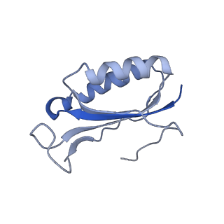 8238_5kcs_1f_v1-1
Cryo-EM structure of the Escherichia coli 70S ribosome in complex with antibiotic Evernimycin, mRNA, TetM and P-site tRNA at 3.9A resolution