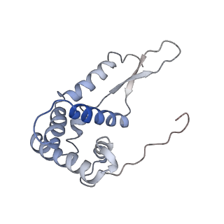 8238_5kcs_1g_v1-1
Cryo-EM structure of the Escherichia coli 70S ribosome in complex with antibiotic Evernimycin, mRNA, TetM and P-site tRNA at 3.9A resolution