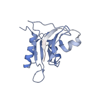 8238_5kcs_1h_v1-1
Cryo-EM structure of the Escherichia coli 70S ribosome in complex with antibiotic Evernimycin, mRNA, TetM and P-site tRNA at 3.9A resolution