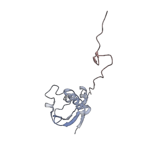 8238_5kcs_1i_v1-1
Cryo-EM structure of the Escherichia coli 70S ribosome in complex with antibiotic Evernimycin, mRNA, TetM and P-site tRNA at 3.9A resolution