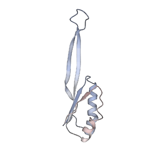 8238_5kcs_1j_v1-1
Cryo-EM structure of the Escherichia coli 70S ribosome in complex with antibiotic Evernimycin, mRNA, TetM and P-site tRNA at 3.9A resolution