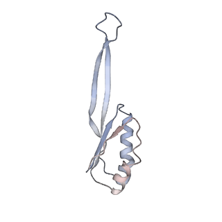 8238_5kcs_1j_v2-1
Cryo-EM structure of the Escherichia coli 70S ribosome in complex with antibiotic Evernimycin, mRNA, TetM and P-site tRNA at 3.9A resolution