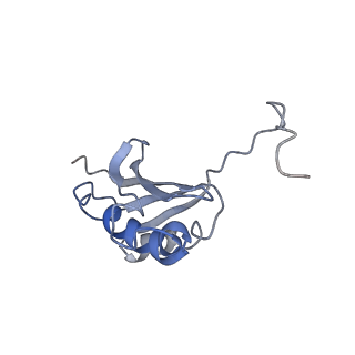 8238_5kcs_1k_v1-1
Cryo-EM structure of the Escherichia coli 70S ribosome in complex with antibiotic Evernimycin, mRNA, TetM and P-site tRNA at 3.9A resolution