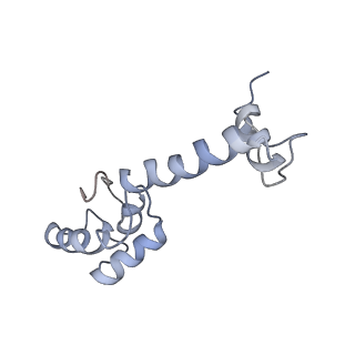 8238_5kcs_1m_v2-1
Cryo-EM structure of the Escherichia coli 70S ribosome in complex with antibiotic Evernimycin, mRNA, TetM and P-site tRNA at 3.9A resolution
