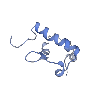 8238_5kcs_1r_v1-1
Cryo-EM structure of the Escherichia coli 70S ribosome in complex with antibiotic Evernimycin, mRNA, TetM and P-site tRNA at 3.9A resolution