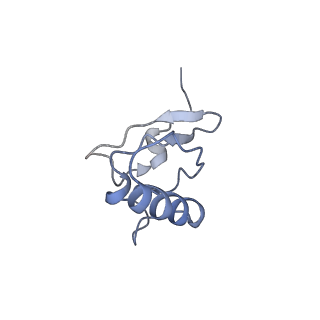 8238_5kcs_1s_v1-1
Cryo-EM structure of the Escherichia coli 70S ribosome in complex with antibiotic Evernimycin, mRNA, TetM and P-site tRNA at 3.9A resolution