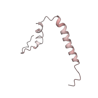 8238_5kcs_1u_v1-1
Cryo-EM structure of the Escherichia coli 70S ribosome in complex with antibiotic Evernimycin, mRNA, TetM and P-site tRNA at 3.9A resolution