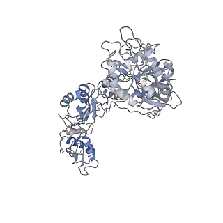 8238_5kcs_1w_v1-1
Cryo-EM structure of the Escherichia coli 70S ribosome in complex with antibiotic Evernimycin, mRNA, TetM and P-site tRNA at 3.9A resolution