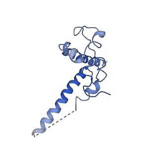 22820_7kde_B_v1-1
BG505 SOSIP.664 in complex with the V3-targeting rhesus macaque antibody 1485 and human gp120-gp41 interface antibody 8ANC195