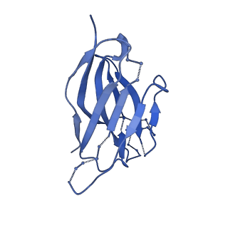 22820_7kde_O_v1-1
BG505 SOSIP.664 in complex with the V3-targeting rhesus macaque antibody 1485 and human gp120-gp41 interface antibody 8ANC195