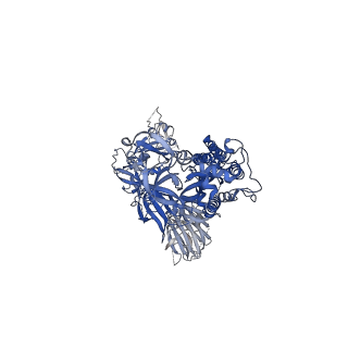 22821_7kdg_A_v1-1
SARS-CoV-2 RBD down Spike Protein Trimer without the P986-P987 stabilizing mutations (S-GSAS)