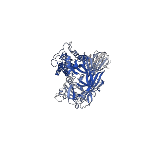 22822_7kdh_A_v1-1
SARS-CoV-2 RBD up Spike Protein Trimer without the P986-P987 stabilizing mutations (S-GSAS)
