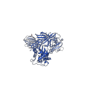 22822_7kdh_C_v1-1
SARS-CoV-2 RBD up Spike Protein Trimer without the P986-P987 stabilizing mutations (S-GSAS)