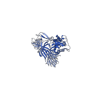 22824_7kdj_B_v1-1
SARS-CoV-2 D614G 1-RBD-up Spike Protein Trimer fully cleaved by furin without the P986-P987 stabilizing mutations (S-RRAR-D614G)