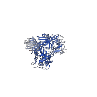 22824_7kdj_C_v1-1
SARS-CoV-2 D614G 1-RBD-up Spike Protein Trimer fully cleaved by furin without the P986-P987 stabilizing mutations (S-RRAR-D614G)