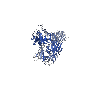 22826_7kdl_A_v1-1
SARS-CoV-2 D614G 1-RBD up Spike Protein Trimer without the P986-P987 stabilizing mutations (S-GSAS-D614G)