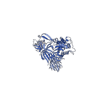 22826_7kdl_B_v1-1
SARS-CoV-2 D614G 1-RBD up Spike Protein Trimer without the P986-P987 stabilizing mutations (S-GSAS-D614G)
