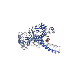 22828_7kdp_C_v1-0
HCMV prefusion gB in complex with fusion inhibitor WAY-174865