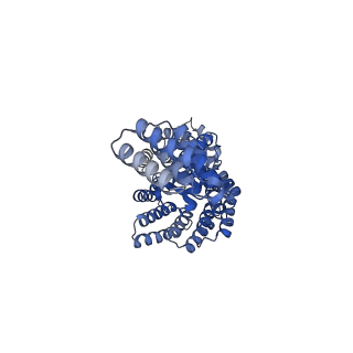 22829_7kdt_A_v1-2
Human Tom70 in complex with SARS CoV2 Orf9b