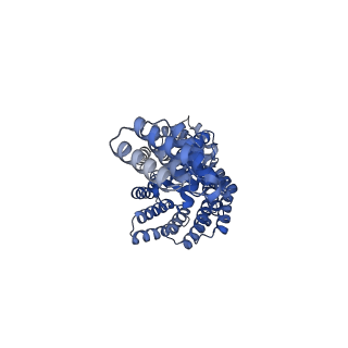 22829_7kdt_A_v1-3
Human Tom70 in complex with SARS CoV2 Orf9b