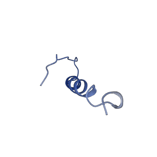 22829_7kdt_B_v1-3
Human Tom70 in complex with SARS CoV2 Orf9b