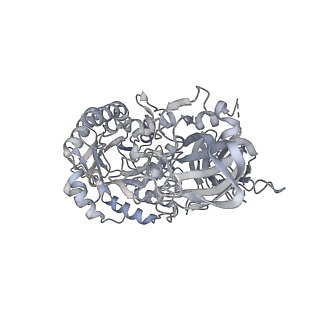 22830_7kdv_A_v1-1
Murine core lysosomal multienzyme complex (LMC) composed of acid beta-galactosidase (GLB1) and protective protein cathepsin A (PPCA, CTSA)